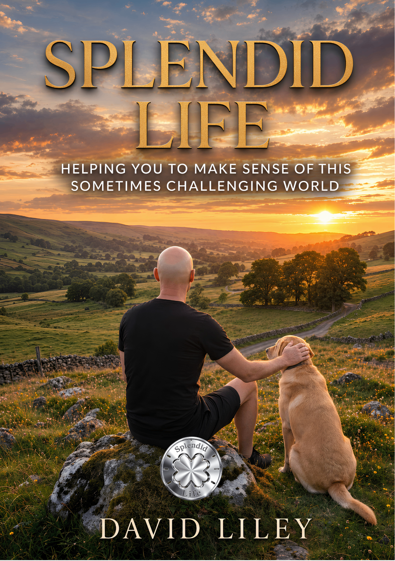 Cover of the book Splendid Life by David Lilley.